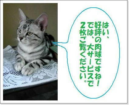 20090411-2.jpg