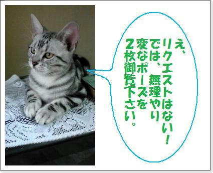 20090413-2.jpg