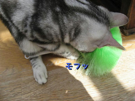 撮影日：2009-03-17