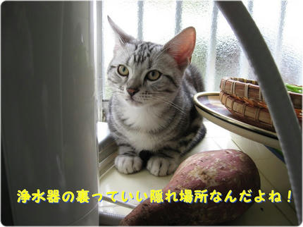 撮影日：2009-03-08