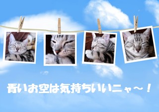 撮影日：2009-03-17