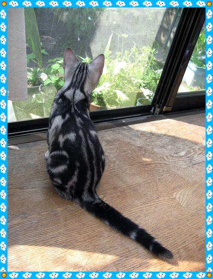 撮影日：2009-03-20