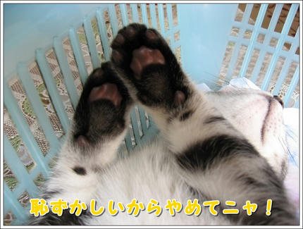撮影日：2009-04-12