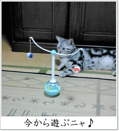 撮影日：2009-11-01