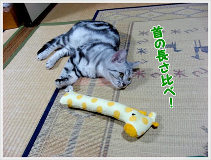撮影日：2009-08-14