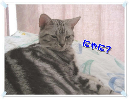 撮影日：2009-09-13