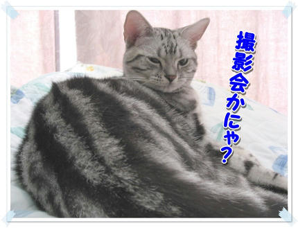 撮影日：2009-09-13