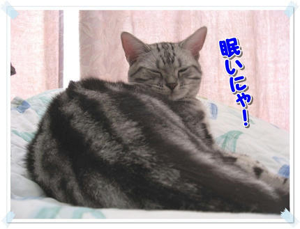 撮影日：2009-09-13