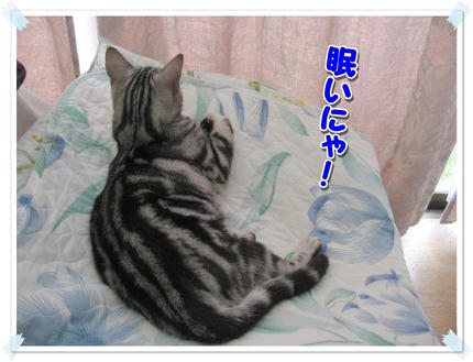 撮影日：2009-09-13