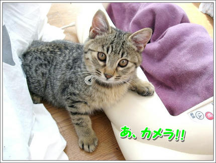 撮影日：2009-12-12