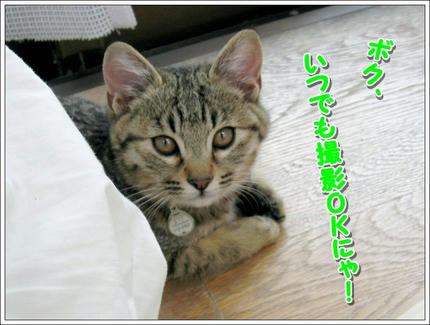 撮影日：2009-12-12