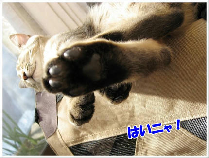 撮影日：2010-01-17