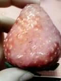 08-01-24_001.jpg