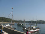 IMG_1164.JPG