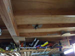 DSCF0841.JPG