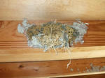 DSCF0880.JPG