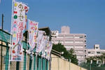 FH000004.JPG