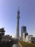 20110305119.jpg