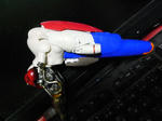 RIMG0411.JPG