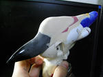 RIMG0412.JPG