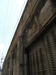 RIMG0736.JPG