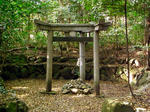 RIMG0624.JPG