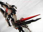 RIMG1656.JPG