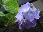78bb4688.JPG