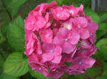 f6d6926e.JPG