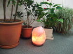 0b35f555.JPG