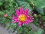 dbda58a0.JPG