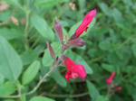 7a283cb2.JPG