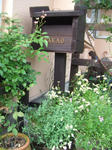 a44904ef.JPG