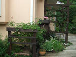 cc059add.JPG