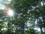 d18251a2.JPG