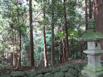 76f8e950.JPG