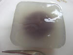 6962eeec.JPG