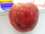 c8293d2d.JPG