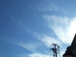 b7395d07.JPG