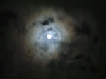b428fe59.JPG