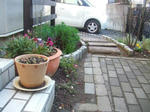 37d405f5.JPG
