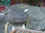 04d2f8ca.JPG