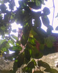 2008_0311_039.jpg