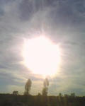 73c08577.jpg
