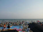 鎌倉の海