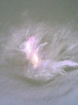 PA0_0007.JPG