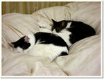 DSCN0769.jpg
