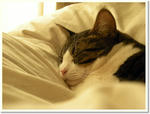 DSCN0761.jpg