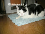 DSCN1012.jpg