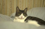 DSC_01100152c.jpg